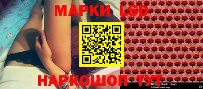 a pvp Бийск