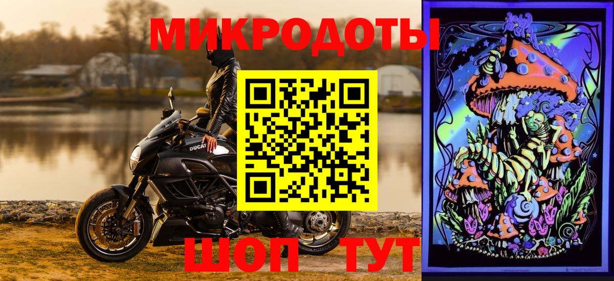 Псилоцибиновые грибы Psilocybe  Вход с VPN  Ивантеевка 