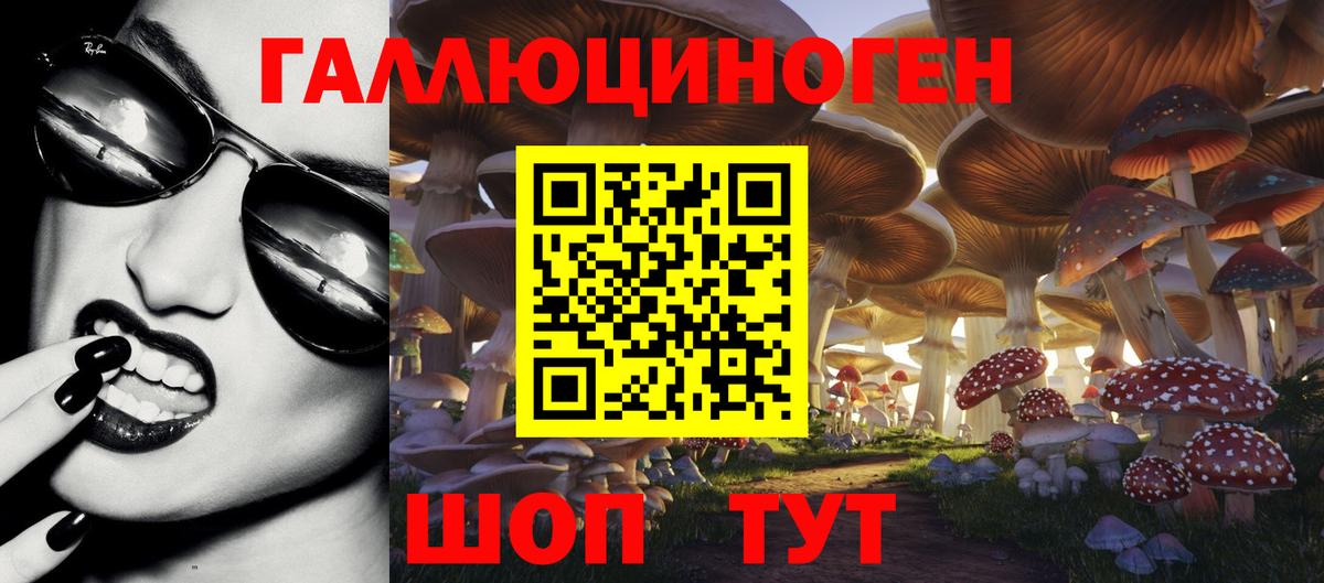 Псилоцибиновые грибы прущие грибы Ивантеевка
